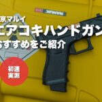 案B：黄色ケース×グロック
